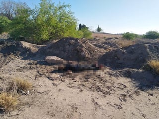 El joven fue asesinado en un terreno baldío de Torreón. (EL SIGLO DE TORREÓN)