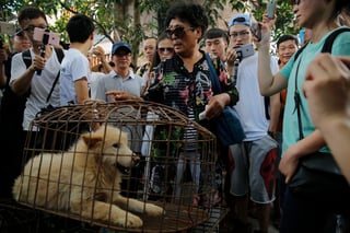 Shenzhen ciudad del sureste chino vecina de Hong Kong, prohibió hoy a partir del 1 de mayo el consumo humano de perros y gatos, y los tipificó solo como mascotas. (ARCHIVO)