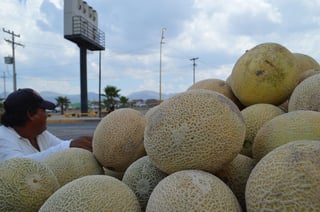 Comenzó la comercialización del melón en el lugar conocido como Las Meloneras y el precio fijado les permite obtener buena utilidad a los productores de sus cosechas (ARCHIVO)
