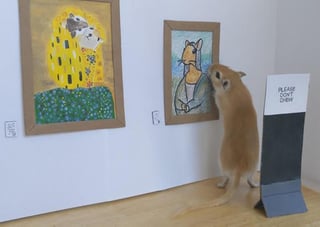 Los roedores pueden disfrutar de un poco de arte moderno. (INTERNET)