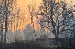 El incendio que se declaró hace más de diez días en la zona de exclusión de Chernóbil y que se aproximaba peligrosamente a la planta nuclear ya ha sido extinguido, según informó hoy el servicio estatal para situaciones de emergencia de Ucrania. (ARCHIVO)