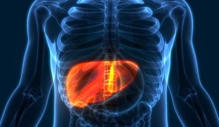 El hígado graso por lo general no causa síntomas, pero algunas personas suelen sentirse cansadas o tienen molestias abdominales vagas, en algunas ocasiones el hígado tiende a agrandarse, lo cual facilita el diagnóstico mediante un examen físico.
(ESPECIAL)