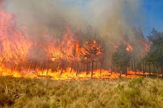 La premura en la eliminación de este tipo de práctica se incrementa durante esta temporada de incendios forestales y se deben extremar precauciones para evitar enfermedades respiratorias. (ARCHIVO)
