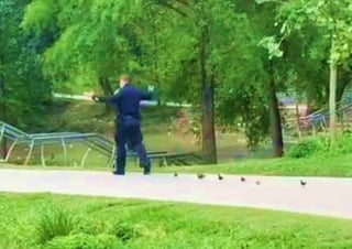 El policía guía a los patos por el parque. (INTERNET)