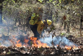La exposición al humo de incendios forestales hace que se incremente el número de casos relacionados con enfermedades respiratorias.