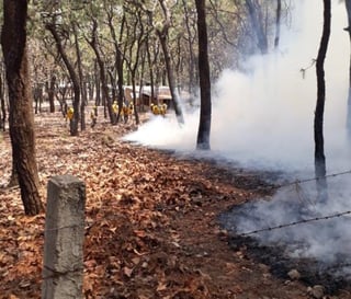 La última semana de abril inicia con el reporte de 61 incendios forestales activos en 16 estados del país, de acuerdo con la Secretaría de Medio Ambiente y Recursos Naturales (Semarnat) y la Comisión Nacional Forestal (Conafor). (TWITTER)