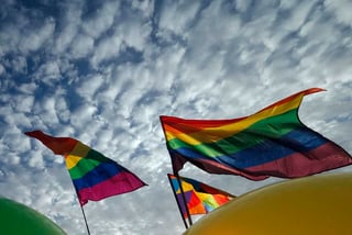 Con el objetivo de conmemorar el Día Internacional Contra la Homofobia, la asociación de San Aelredo invitó a la sociedad coahuilense a unirse a través de redes sociales y usar una prenda morada el próximo 17 de mayo. (ARCHIVO)