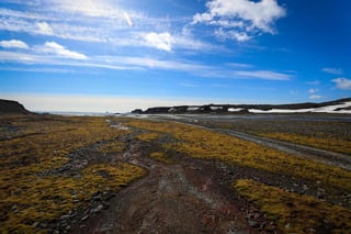 Un equipo de científicos ha realizado el primer mapa a gran escala de las algas microscópicas que desde hace décadas reverdecen la costa de la Península Antártica y ha advertido de que la vida vegetal seguirá propagándose por el continente helado a medida que las temperaturas globales se eleven por el cambio climático. (ARCHIVO) 