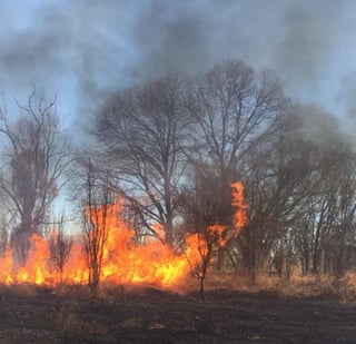 Afectan incendios 157 mil 695 hectáreas en todo el país. (EL SIGLO DE TORREÓN) 