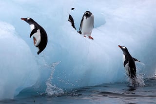 Al final de la última Edad de Hielo, hace unos 12,000 años, las capas de hielo que rodeaban la costa antártica llegaron a retirarse a una velocidad de hasta 50 metros diarios. (ARCHIVO) 