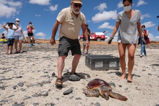 En la imagen encaminan a una tortuga hacia el océano, celebrando por primera vez el 8 de junio de 1992. (ARCHIVO) 