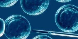 Un equipo internacional de científicos ha generado, a partir de células madre humanas, un modelo similar al de un embrión humano que recrea las primeras etapas del desarrollo embrionario. (ESPECIAL) 