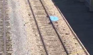 Un hombre falleció la tarde de hoy en Saltillo, luego de que fuera atropellado por el ferrocarril, al parecer cuando se encontraba dormido en las vías del tren. (ARCHIVO)