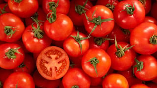 Científicos de EUA han identificado mutaciones hasta ahora desconocidas en el genoma de 100 tipos de tomate; una gesta que podría permitir la creación de nuevas variedades y la mejora de las ya existentes. (ARCHIVO) 