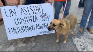 Alrededor de 30 personas acudieron ayer al Congreso del Estado para manifestarse en contra del maltrato animal.