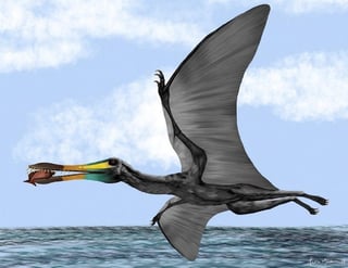 ósiles de un pterosaurio, un reptil vertebrado volador, fueron descubiertos en el departamento colombiano de Santander por el paleontólogo Edwin Cadena, quien explicó que la criatura vivió hace unos 135 millones de años. (ARCHIVO) 