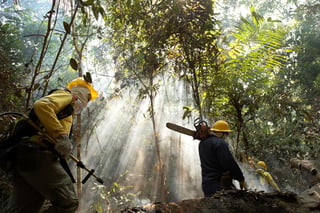 Hamilton Mourao aseguró se va a reducir la deforestación al mínimo aceptable. (EFE) 