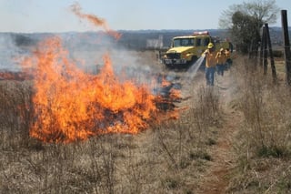 Durante esta temporada se combatieron 233 incendios en el estado de Durango.