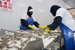 China suspendió el 10 de julio las importaciones de camarón a tres empresas ecuatorianas. (EFE) 