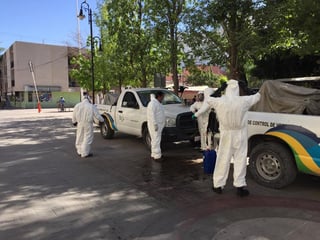 El 2016 fue el año con más casos de dengue ya que tan solo en La Laguna se registraron 943 casos del total de 967 en Durango.