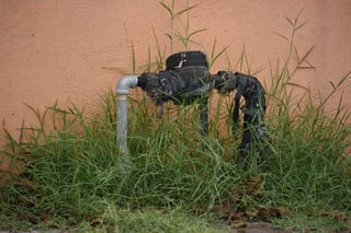 Simas detecta tomas clandestinas de agua en Monclova y Frontera.