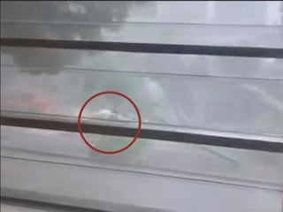 Aunque se desconoce si el conductor resultó herido por el gran golpe que recibió, el video fue compartido por varios canales de noticias de la misma red social. (TWITTER) 