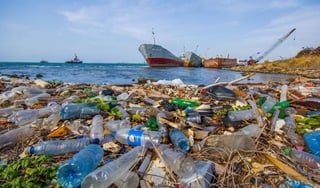 Se estima que que más de 1.300 millones de toneladas de contaminación plástica terminarán en la tierra o en los cauces de agua para 2040 (ESPECIAL) 