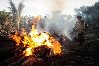 Los incendios en la Amazonía brasileña aumentaron un 28 % en julio frente al mismo mes de 2019. (ARCHIVO)