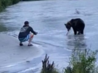 Pescador tiene encuentro cercano con un oso y este 'le roba' su botín