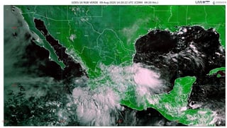 La tormenta tropical Elida, quinta de la temporada de ciclones 2020 del océano Pacífico, produce lluvias 'muy fuertes' en las costas mexicanas de los estados de Colima, Michoacán y Guerrero, informó este domingo el Servicio Meteorológico Nacional (SMN). (TWITTER)
