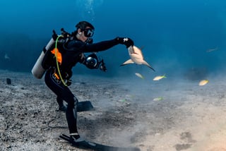 APASIONADO. Iskander Itriago se sumerge en los océanos para interactuar con las especies que lo habitan. (CORTESÍA / Iskander Itriago)
