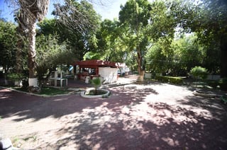 Distintas organizaciones y asociaciones civiles han manifestado su inquietud de que no se talen árboles en este parque de Gómez Palacio.