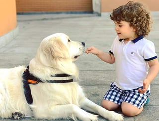 Los perros tienen la capacidad de conectar con las personas e incluso existen métodos terapéuticos que los implementan como compañeros que ayudan a trabajar la ansiedad o autoestima.  (ESPECIAL)