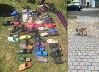 Cada zapato fue devuelto ya a su dueño legítimo. (INTERNET)
