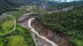 Brasil deforestó 87.2 millones de hectáreas desde 1985, la mitad de ellas en la Amazonía, principalmente para el uso de la pujante industria agropecuaria del país, denunció un estudio difundido este viernes. (ARCHIVO)