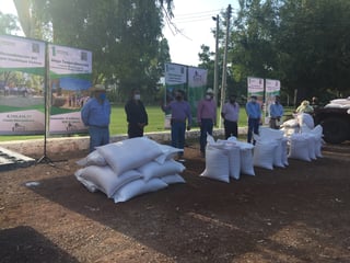 Ayer se llevó a cabo la entrega de más de 20 toneladas de semilla de avena para los productores de Lerdo, Gómez Palacio y Tlahualilo. (GUADALUPE MIRANDA)