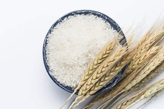 El uso del arroz con fines estéticos es uno de los grandes secretos orientales para lucir una piel perfecta y un cabello sedoso. (ESPECIAL)