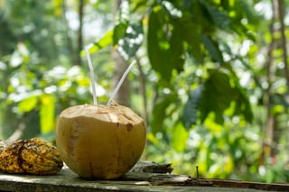 El agua de coco es una bebida con muchas propiedades benéficas para el cuerpo humano. (ARCHIVO)