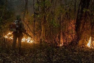 El Pantanal, mayor humedal del mundo y que Brasil comparte con Bolivia y Paraguay, terminará septiembre con número récord de incendios, que ya destruyeron el 22 % de su área, una tragedia que eleva la presión internacional sobre la cuestionada política ambiental del presidente Jair Bolsonaro. (ARCHIVO) 