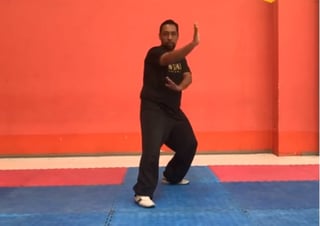 Disciplinas como el wu shu - kung fu, son impartidas de manera virtual por la planta de instructores con la que cuenta el Instituto. (ESPECIAL)