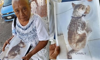 Como recompensa por localizar al gato 'Charly', la mujer ofrece 200 pesos (CAPTURA) 
