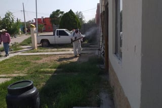 En esta época que coincide con la pandemia por COVID-19 y con la temporada de Influenza, el estado de Coahuila suma 110 casos confirmados a dengue, de los cuales, el 93 por ciento se concentran en la Comarca Lagunera. (ARCHIVO)
