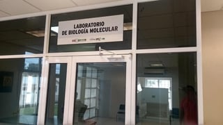 El gobernador Miguel Ángel Riquelme, anunció que en próximos días abrirá el laboratorio de biología molecular, que permitirá ampliar el número de pruebas en la Región Norte de Coahuila.(ARCHIVO)
