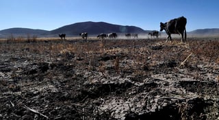También enfrentan sequía severa nueve municipios de Durango
y cinco de Coahuila. (ARCHIVO) 
