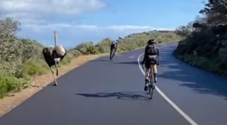 El ave no lastimó a ningún ciclista (CAPTURA)