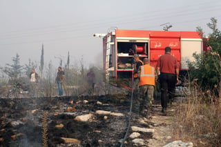 Los incendios forestales desatados por una ola de calor en Medio Oriente han matado a tres persona. (EFE) 