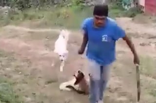 Por medio de redes sociales, se difundió el video que muestra al hombre matar a machetazos al animal, lo que provocó indignación entre el público (CAPTURA)