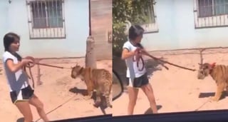 En el video la niña menciona que tiene otro tigre en su casa (CAPTURA) 