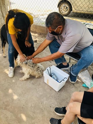 Los miércoles y viernes de 9:00 a las 13:00 horas se instala el módulo de vacunación y desparasitación de perros y gatos al exterior del edificio de Salud Municipal.