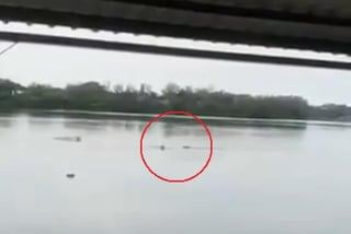 En redes sociales circula un video que muestra el momento en el que el hombre fue atacado por el reptil, material que fue registrado por testigos (CAPTURA)